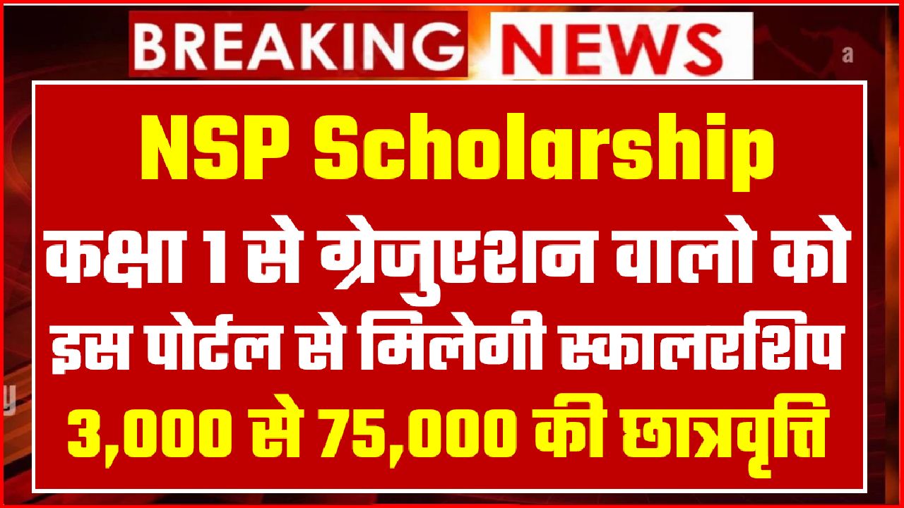 nsp scholarship new portal